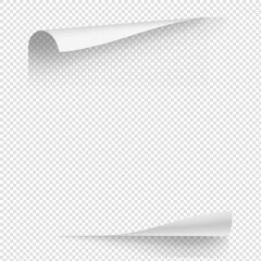 White empty gradient paper curl with shadow isolated on transparent background. Realistic sticker paper page note for notice. Vector mockup illustration