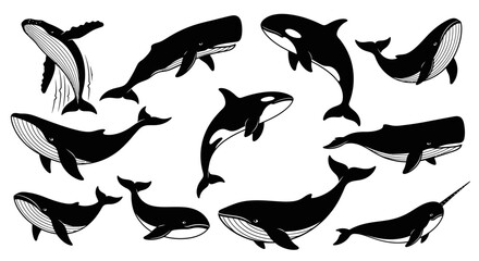 A collection of stylized black and white whale illustrations, showcasing diverse species and poses.