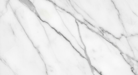 Obraz premium Dynamic Grey Veins Flowing Across a Pristine White Marble Slab