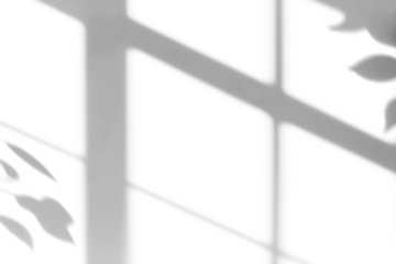  shadow overlay effect of natural tree leaves shadow and window shadow over on white wall background,realistic summer sunlight abstract shadow overlay on transparent png background