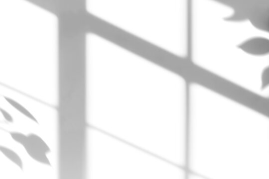 shadow overlay effect of natural tree leaves shadow and window shadow over on white wall background,realistic summer sunlight abstract shadow overlay on transparent png background - Powered by Adobe