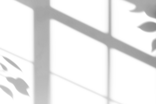  shadow overlay effect of natural tree leaves shadow and window shadow over on white wall background,realistic summer sunlight abstract shadow overlay on transparent png background