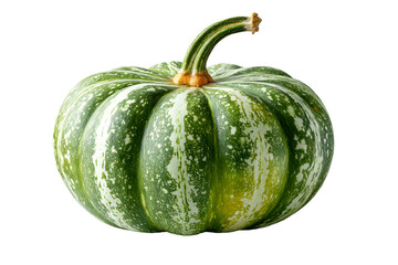 Green striped pumpkin with unique patterns