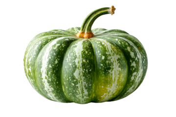 Green striped pumpkin with unique patterns
