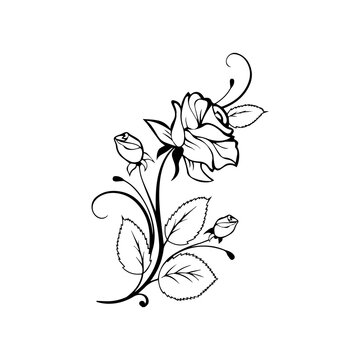 Collection of black flower silhouettes and floral frames on white background