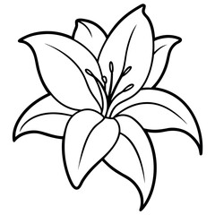 Fototapeta premium Lily Flower Outline Coloring Page