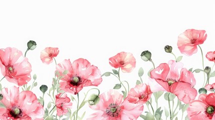 Fototapeta premium Delicate Blooms: Watercolor Poppy Border