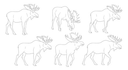 Elegant moose line drawings perfect for nature-themed projects, branding, and educational content creation