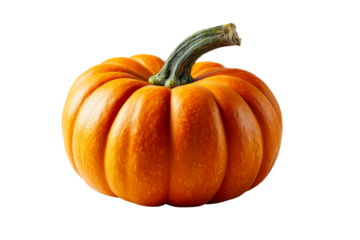 Vibrant orange textured pumpkin