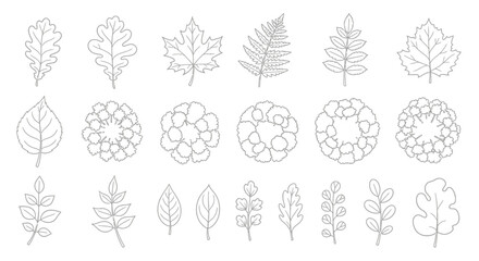 Elegant assortment of outlined leaf and tree illustrations for a natural, minimalistic design project