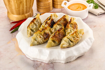 Japanese fried Gyoza stuffed dumplings