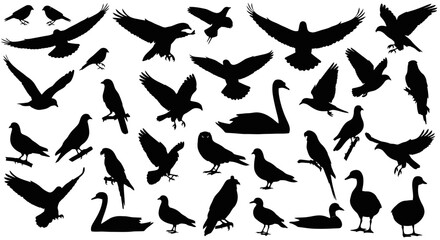 Dynamic silhouettes of diverse birds in flight offering design versatility for conservation and nature projects