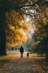 Silhouette of a person walking with dog in autumn park, atmospheric fall scene