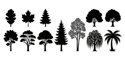 Diverse tree silhouettes from leafy deciduous to evergreen conifers and palm