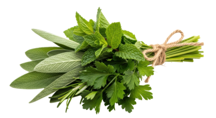 Isolated Bundle of Fresh Herbs Tied with Twine