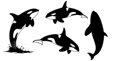Four orca whale silhouettes in various poses, including jumping out of water, swimming, and diving, depicted in black and white. © Muflif