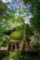 茨城県北茨城市　新緑の花園渓谷
