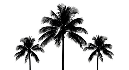 Silhouette of three palm trees against a bright white background, simple and clean design.