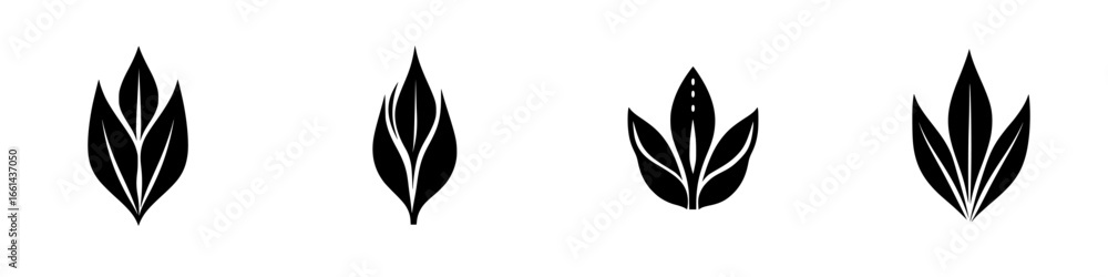 Poster stylized black leaf designs showcasing various symmetrical shapes and patterns in a minimalist style