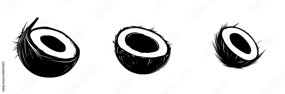 Poster visual representation of coconuts showcasing different stages of exposure, highlighting their textur