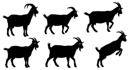 Six black goats in various poses, from standing still to jumping, isolated on white.