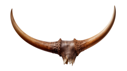 Corpus Christi Holy Communion Icon in Circular Round Religious Eucharist Symbol Illustration on White Background