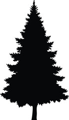 Black Silhouette of a Perfect Pine Tree