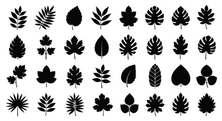 Stunning collection of diverse black leaf silhouettes for natural design elements and botanical themes