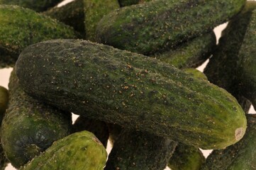 Cornichons non-saumurés en gros plan