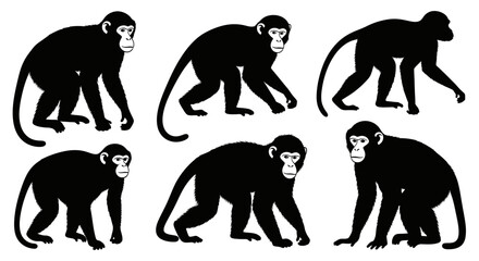 Six black silhouette illustrations of monkeys in various poses, showcasing different stances and body positions.