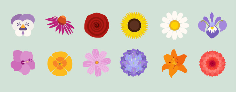 garden flowers iconset to make beautiful symbol collages and decorations in garden magazines or on garden websites or flyers.