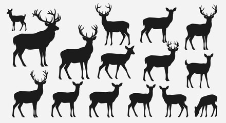 Silhouette collection of various deer, showcasing different sizes and postures.