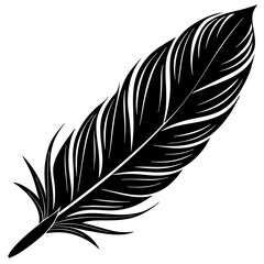 Fototapeta premium Bird feather in black silhouette