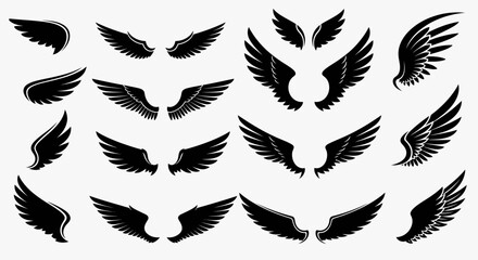 Elegant black wing collection for professional design projects offering inspiration and creative freedom for designers