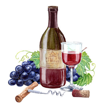 wine bottle, glass, grapes watercolor clip art preview