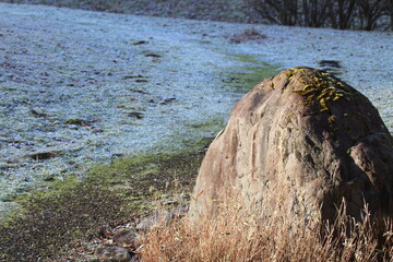 霜が降りた芝生と岩