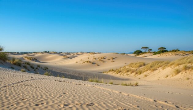 &ldquo;A serene natural background of rolling sand dunes with patches of grass and a few scattered trees, under a clear blue horizon.&rdquo;
