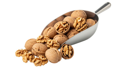 Isolated Scoop of Walnuts