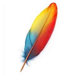 Vibrant multicolored feather against white (1)