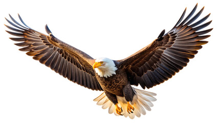 Obraz premium A Spread-Wing Bald Eagle Soars in the Sky Isolated on White Background as Transparent. PNG. AI GENERATED