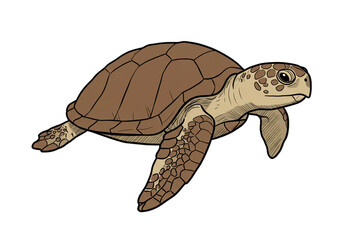 Naklejka premium Sea Turtle Illustration, Marine Wildlife, Ocean Animal png, isolated on transparent background