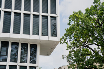 Modern architectural vision with glass office facade and natural tree contrast, innovative city...