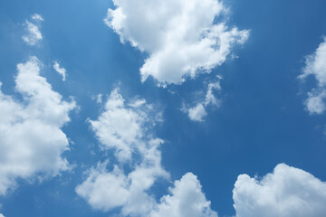 Fototapeta premium ふわふわした薄い雲と夏のようなさわやかな青空 風に流れる雲と美しい天気
