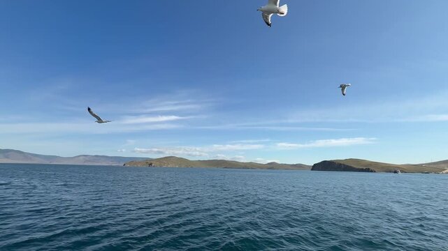 Beautiful Baikal lake landscape in summer. Video of a passenger ferry crossing the Olkhon Gate Strait. Seagulls circling around the ship. Summer trips to Olkhon Island. Natural background