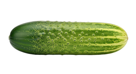 Isolated Whole Green Cucumber