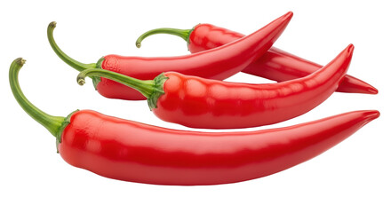 Isolated Red Hot Chilli
