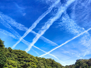 Multiple jet contrails trails against a blue sky above the trees. Airplane condensation or vapour...