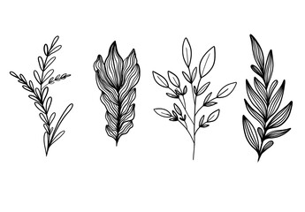 Botanical Line Art Set of Hand-Drawn Floral Elements Vector. Simple Black and White Leaf and Plant Illustrations for Organic, Nature-Inspired Designs.