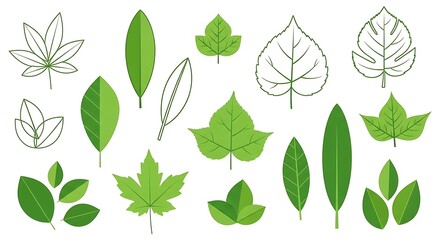 Obraz premium Assorted Green Leaf Illustrations: Botanical Variety on White Background
