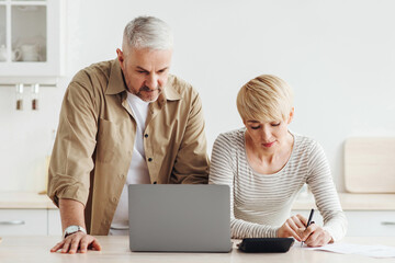 Accounts, loans, mortgages and taxes. Concentrated senior man and woman counting expenses and pays...